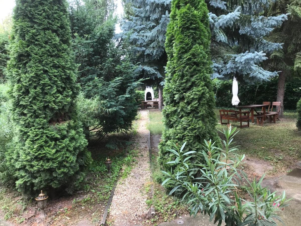 Platanus Vendeghaz Zamardi Bed and Breakfast Buitenkant foto